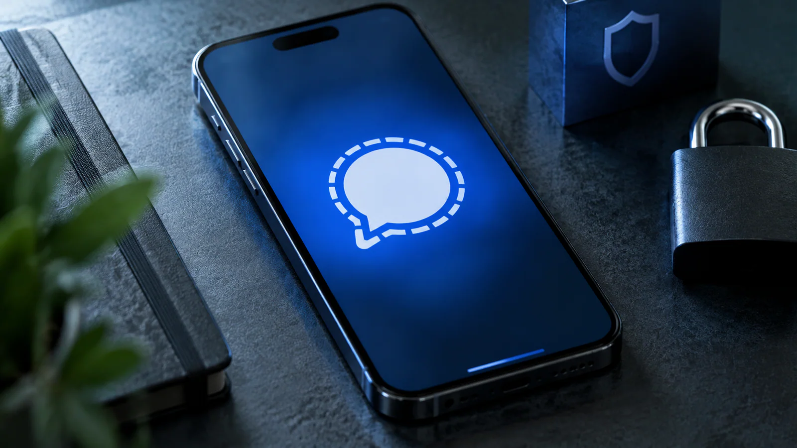 Signal отказался от номера, но регистрация без него стала платной
