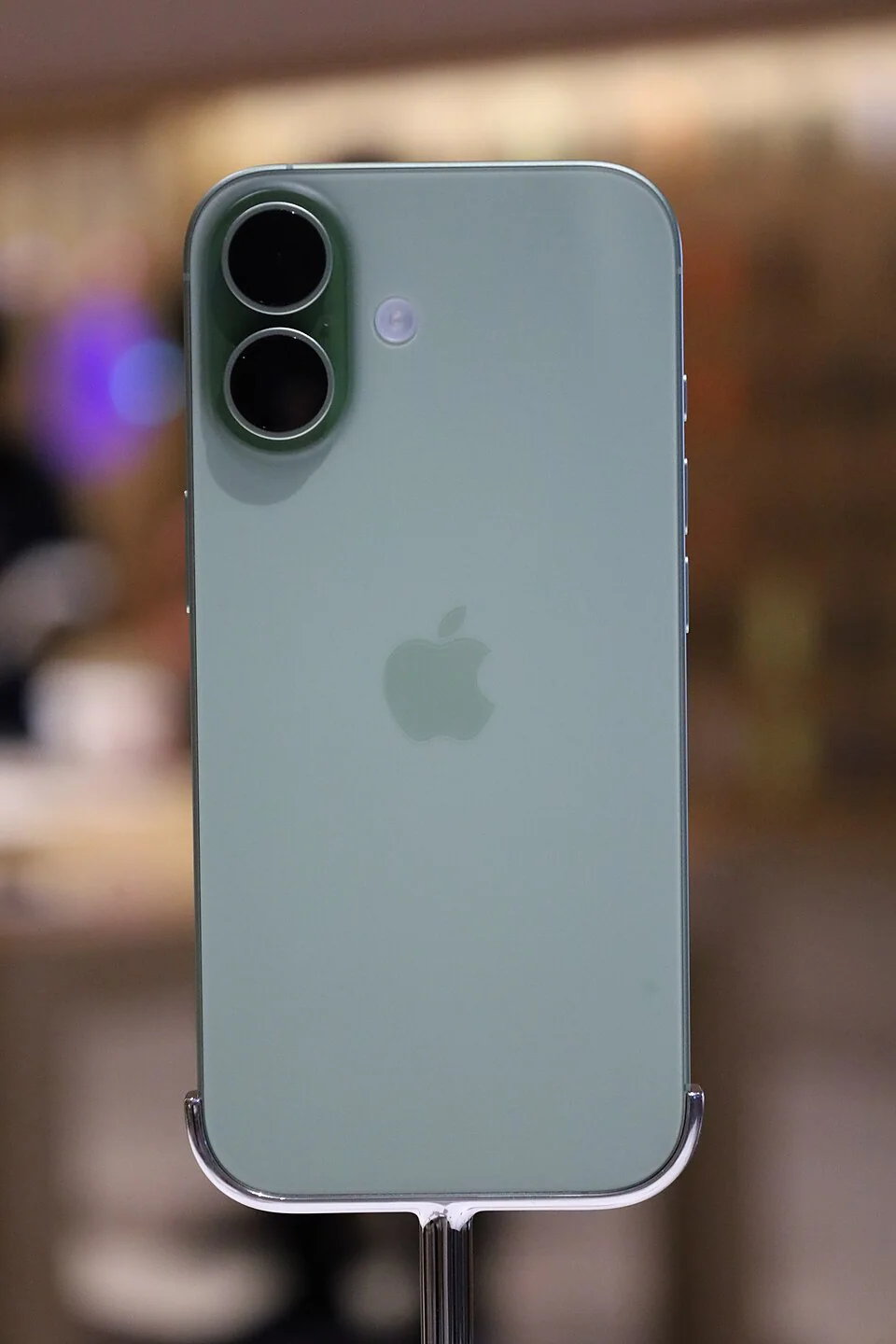 обычный iPhone 17 на презентации в сентябре 2025 года.