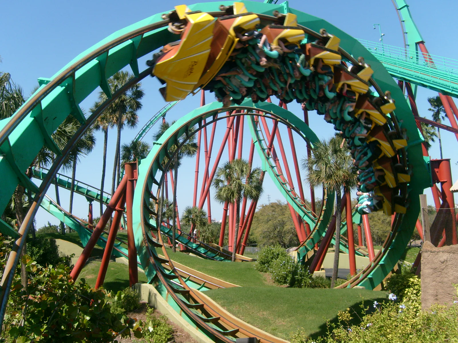 Стальная американская горка Kumba в Busch Gardens Tampa