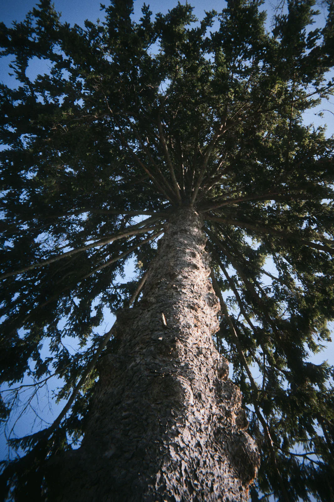08_1066x1600_45702ce92f