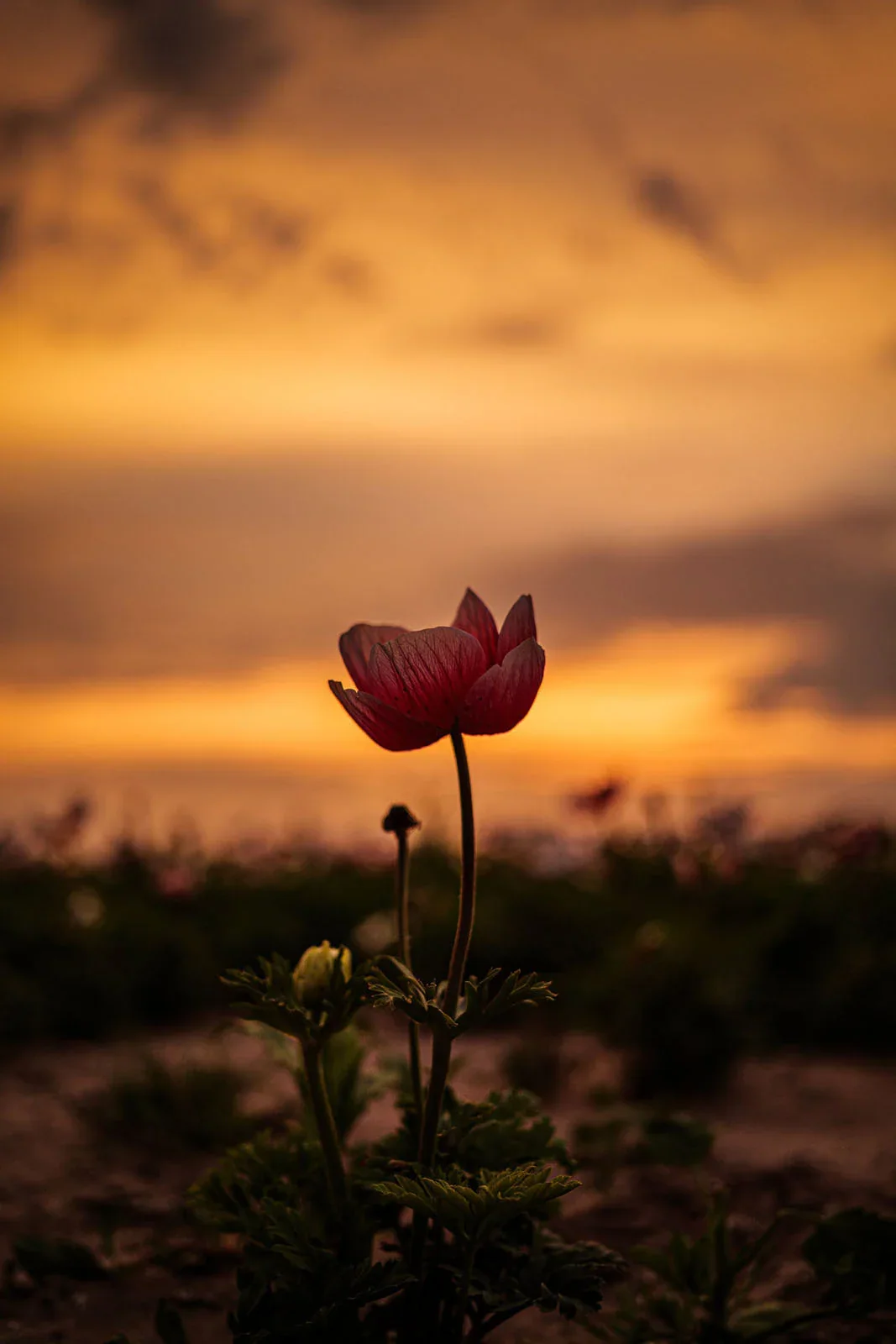 02_1067x1600_b325b2a9b1