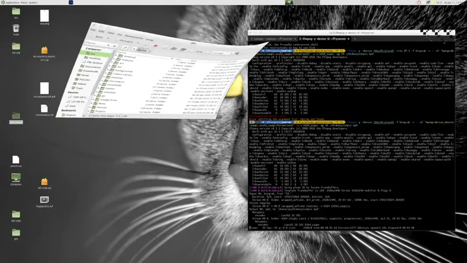 YSERVER 1.6 получил XDMCP, но удаленные сеансы пока с ограничениями